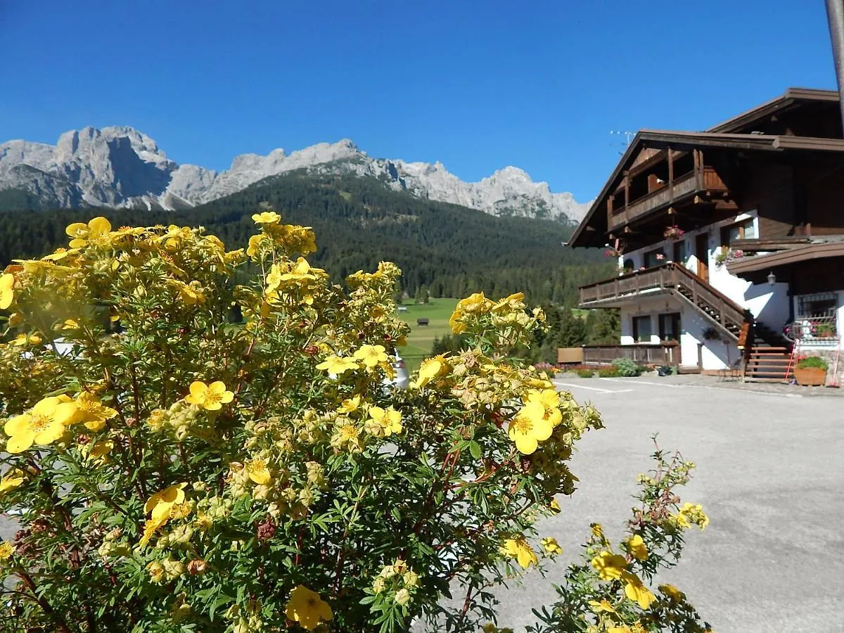 Affittacamere Residence La Pineta Padola Italia